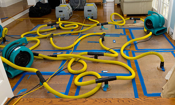 Professional Structural Drying And Dehumidification technician working in Donald, OR